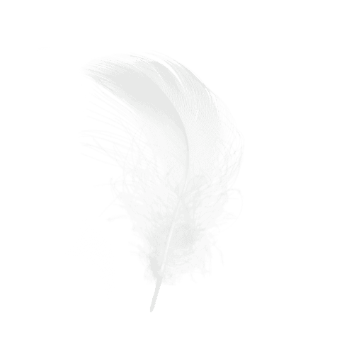 The Angel