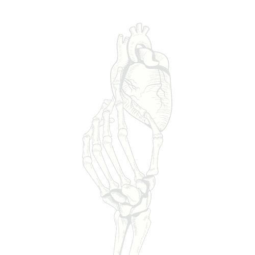 The Lover